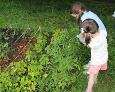 kids watering garden
